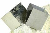 Two Natural Intertwined Pyrite Cubes In Rock - Navajun, Spain #361772-1
